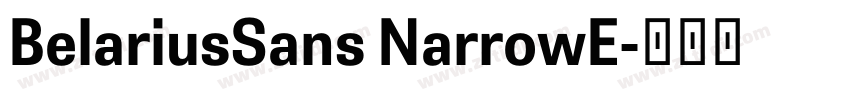 BelariusSans NarrowE字体转换 BelariusSans NarrowE字体转换
